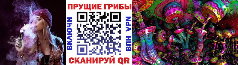 Псилоцибиновые грибы мицелий  как найти наркотики  Кологрив 